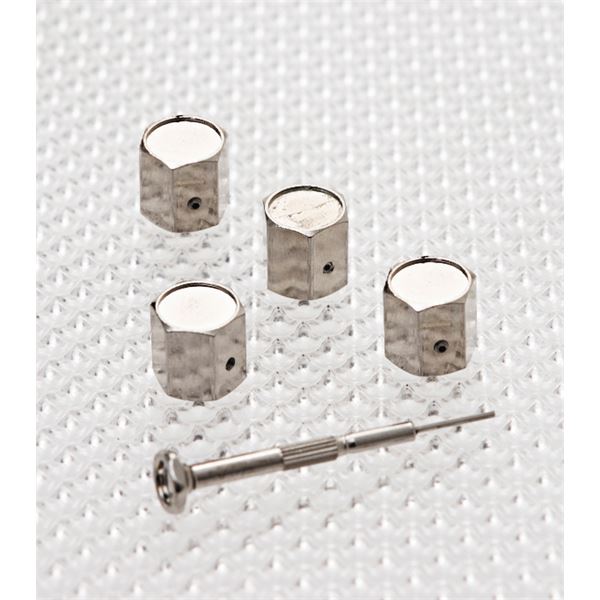 4 bouchons de valves aluminium antivol Richbrook