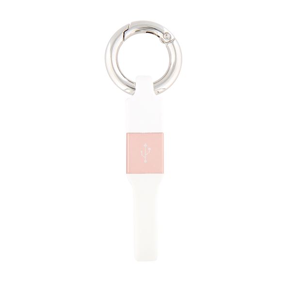 Câble de charge porte-clé Iphone - TNB