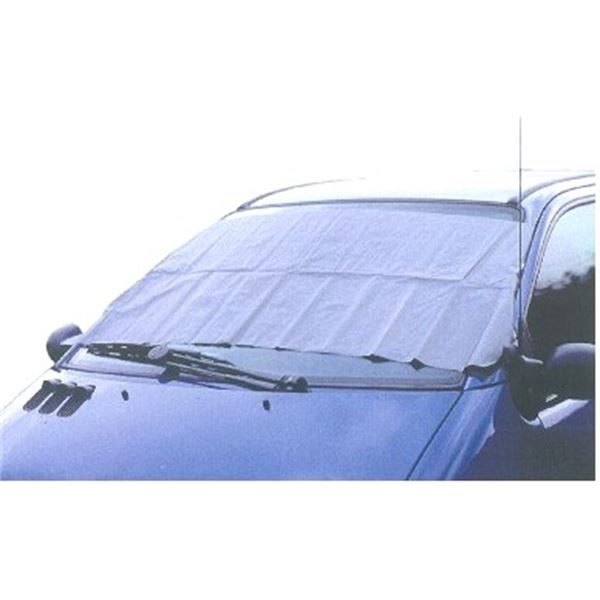 Ecran pare brise antigivre 2,50 x 1,00 m