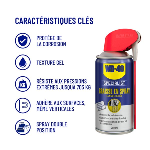 GRAISSE EN SPRAY 250ML WD-40 SPECIALIST