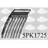 5PK1725 COURROIE ACC. POLY V