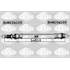 SBH0169 FLEXIBLE DE FREIN