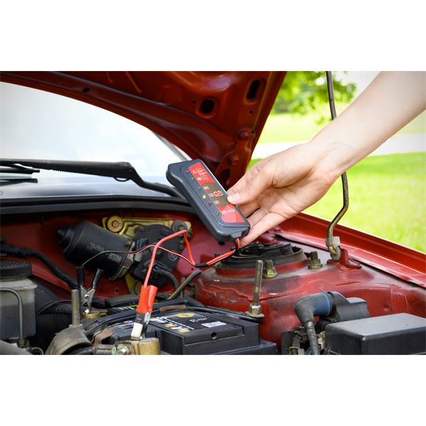 Contrôleur de charge électronique XLTECH