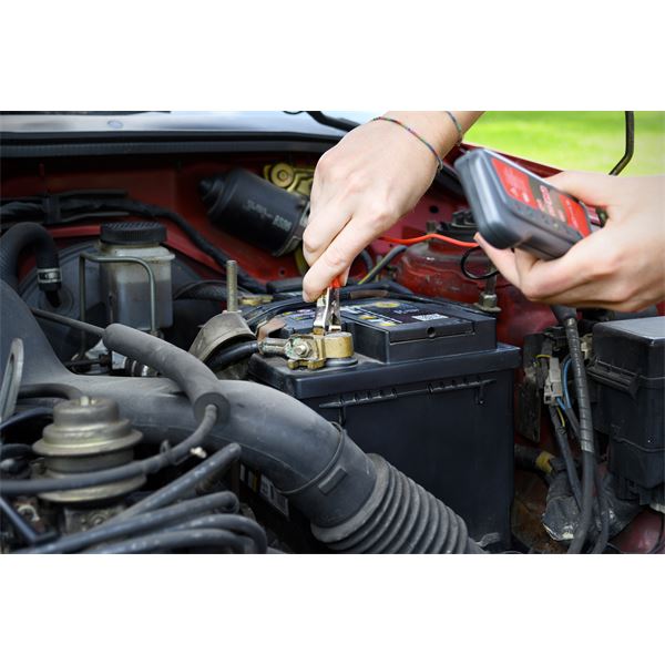 Contrôleur de charge électronique XLTECH