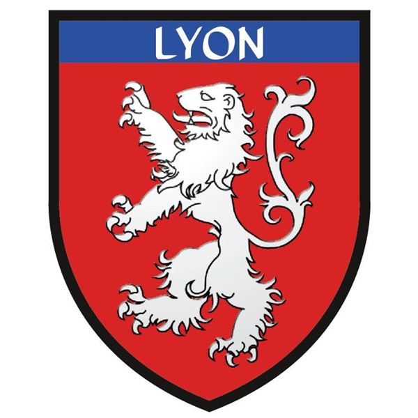 Fanion pour voiture Lyon StickZif