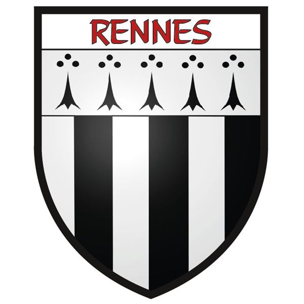 Fanion pour voiture Rennes StickZif