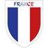 Fanion pour voiture France StickZif