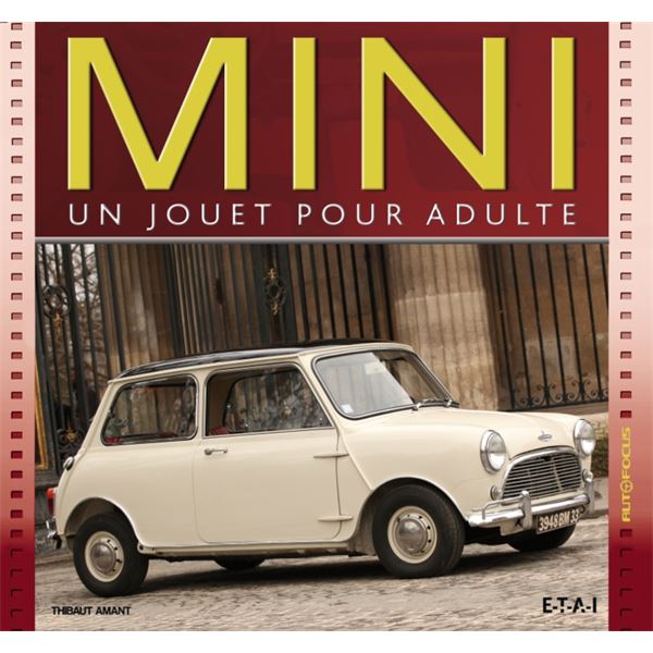 LIVRE MINI, UN JOUET POUR ADULTE (REF 24043)
