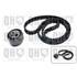 1 kit de distribution Quinton Hazell QBK821