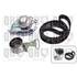 1 kit de distribution + 1 pompe à eau Quinton Hazell QBPK2190