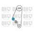 1 kit de distribution + 1 pompe à eau Quinton Hazell QBPK3311
