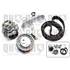 1 kit de distribution + 1 pompe à eau Quinton Hazell QBPK6410