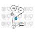1 kit de distribution + 1 pompe à eau Quinton Hazell QBPK7641