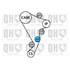 1 kit de distribution + 1 pompe à eau Quinton Hazell QBPK8001