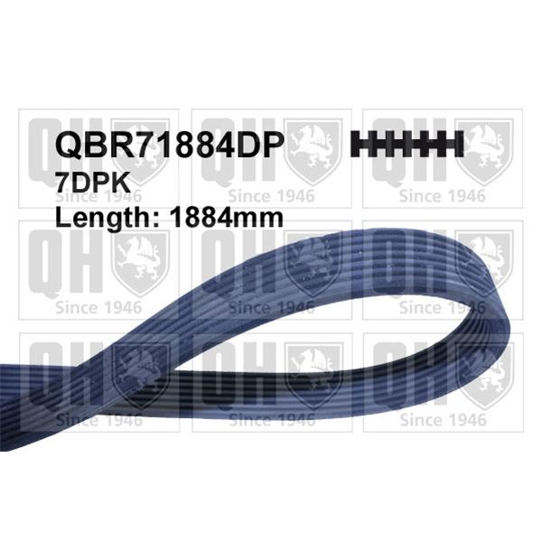 1 courroie d'entrainement Quinton Hazell QBR71884DP