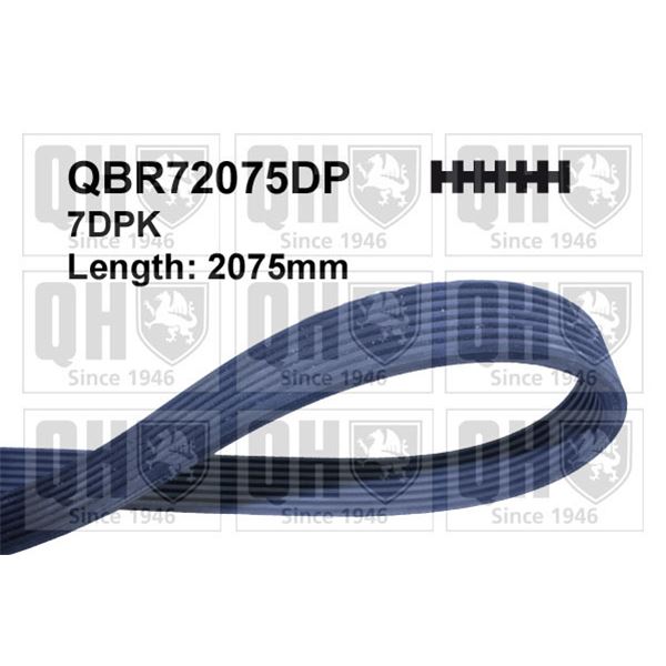 1 courroie d'entrainement Quinton Hazell QBR72075DP