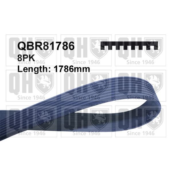 1 courroie d'entrainement Quinton Hazell QBR81786