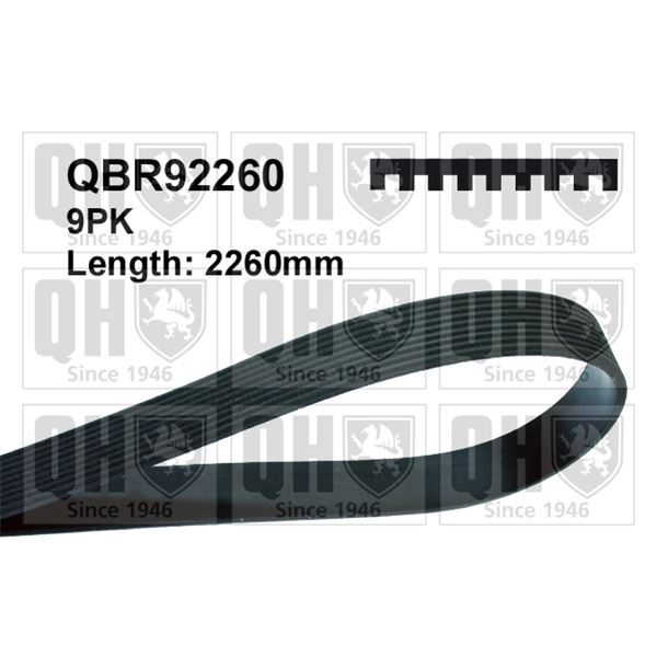 1 courroie d'entrainement Quinton Hazell QBR92260