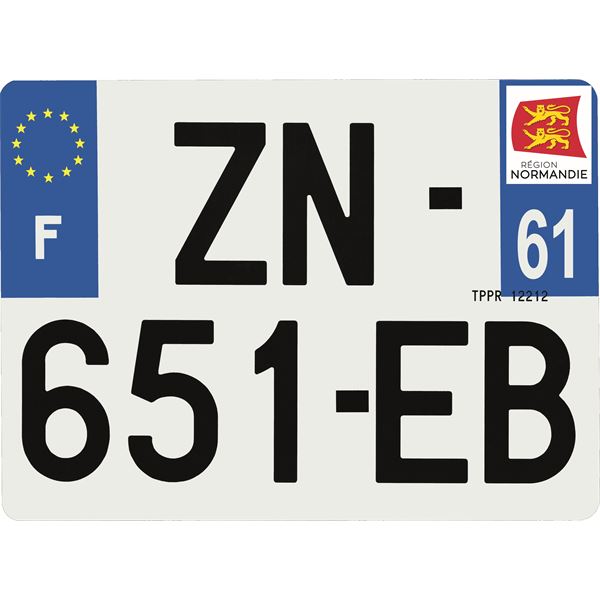 Plaque immatriculation Hybride 275 x 200 mm département 61