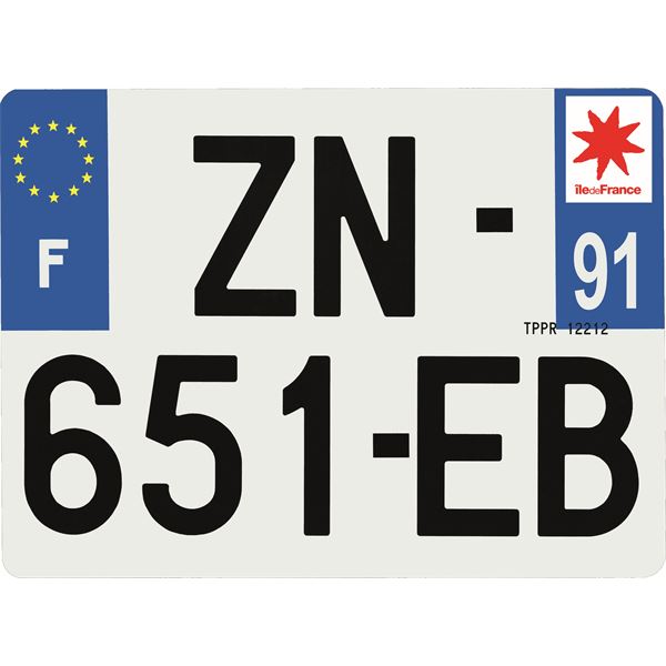 Plaque immatriculation Hybride 275 x 200 mm département 91