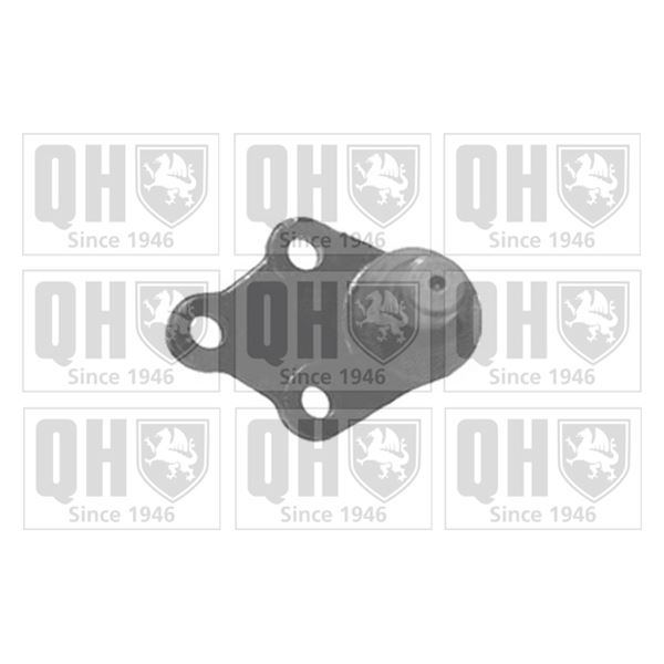 1 rotule de suspension Quinton Hazell QSJ3415S