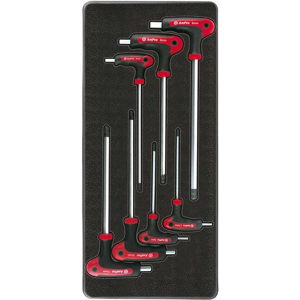 Module de rangement servante clés sphériques T22906 AmPro