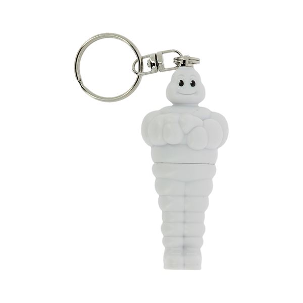 CONTROLEUR PRESSION MICHELIN