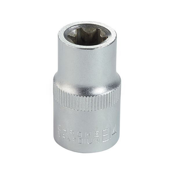 Douille Torx femelle E14, carré 1/2 Autobest