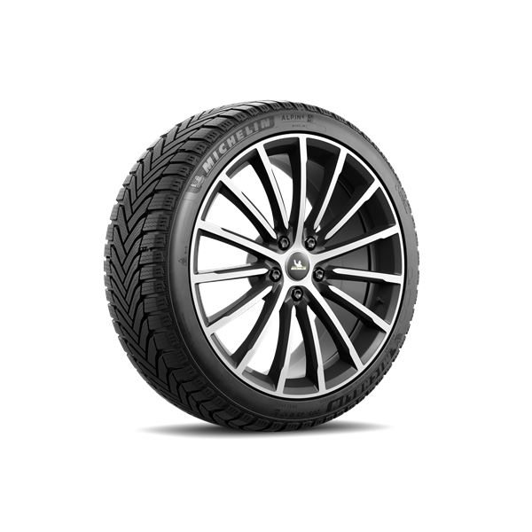 Pneu Hiver Michelin Alpin 6