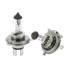 1 ampoule Feu Vert H4