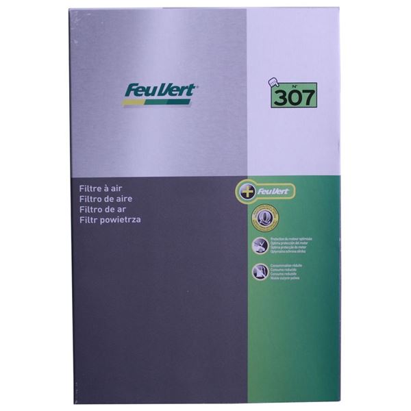 Filtre à air Feu Vert N° 307