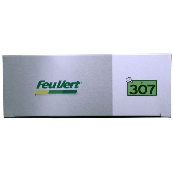 Filtre à air Feu Vert N° 307