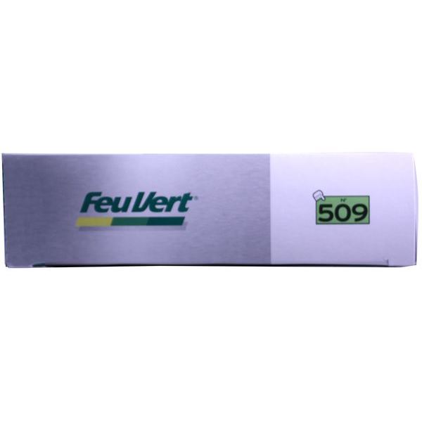 Filtre à air Feu Vert N° 509