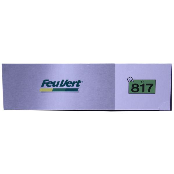 Filtre à air Feu Vert N° 817