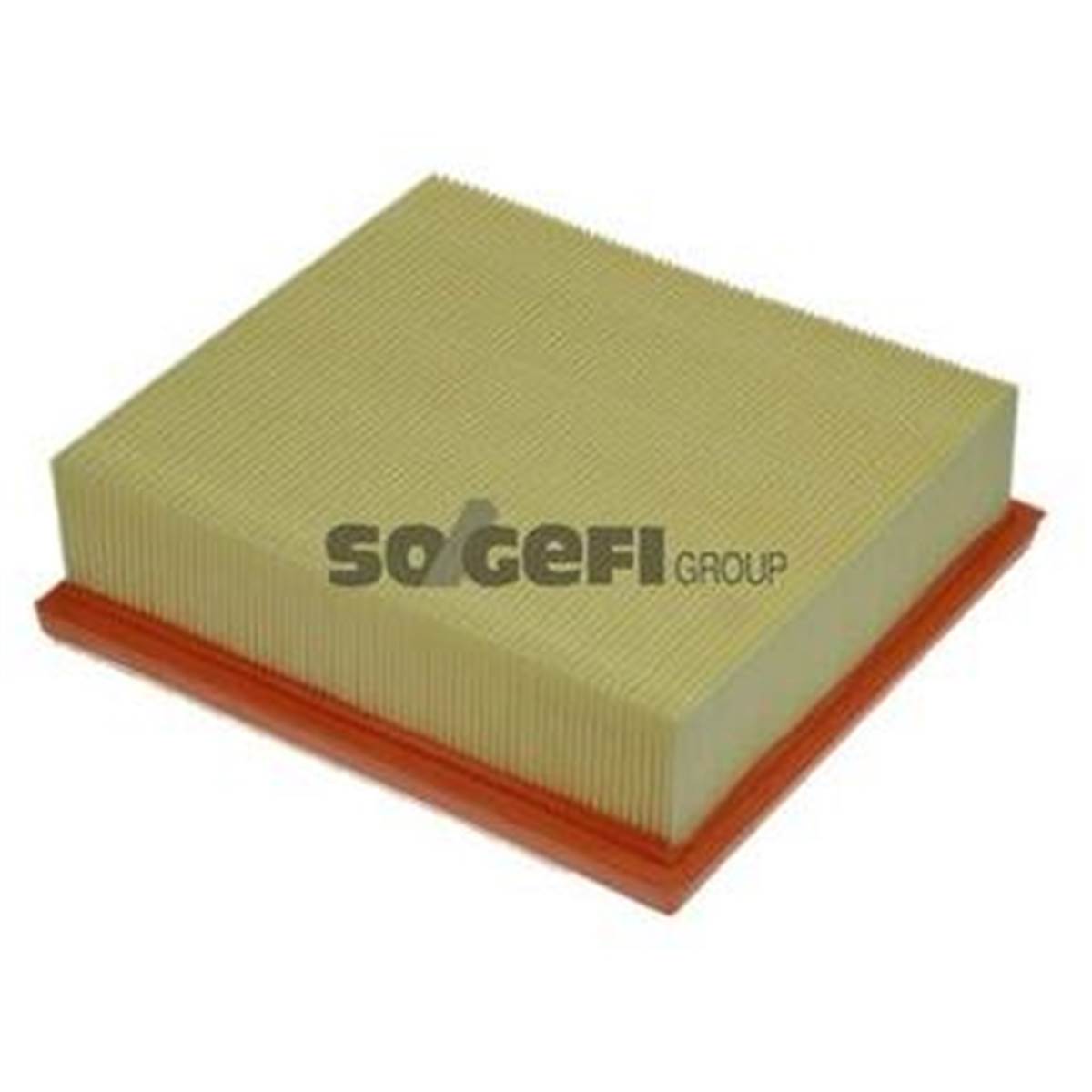 Filtre A Air A1238 Purflux