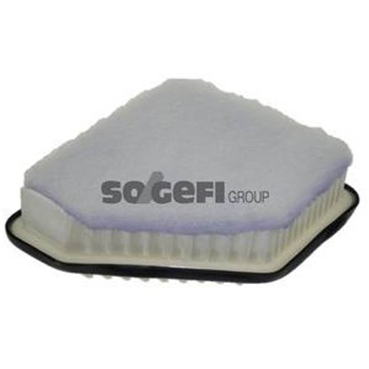 Filtre A Air A1306 Purflux