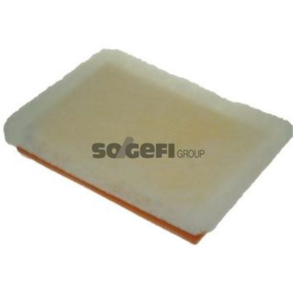1 FILTRE A AIR  A1228 PURFLUX