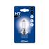 1 ampoule H7 IMDICAR