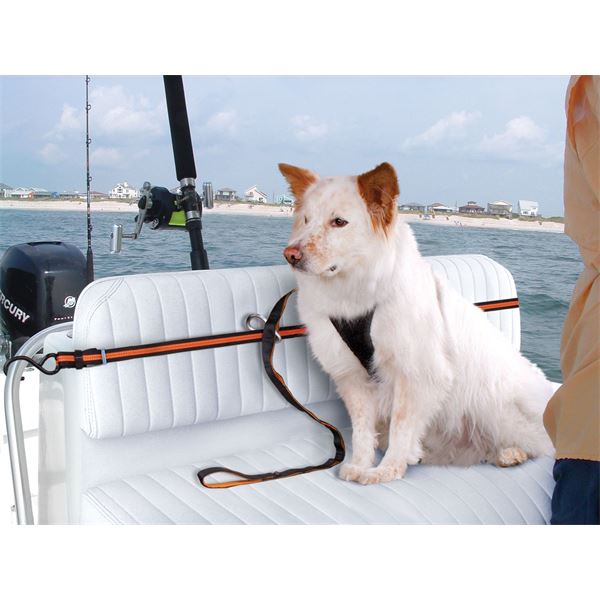 Câble d'attache chien pour voiture Zip Line KURGO