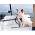 Câble d'attache chien pour voiture Zip Line KURGO