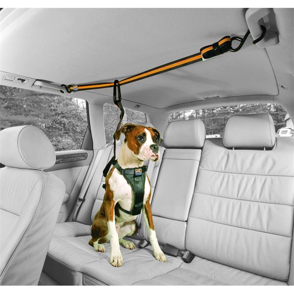 Câble d'attache chien pour voiture Zip Line KURGO