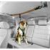 Câble d'attache chien pour voiture Zip Line KURGO