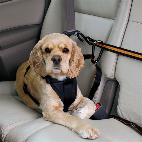 Câble d'attache chien pour voiture Zip Line KURGO