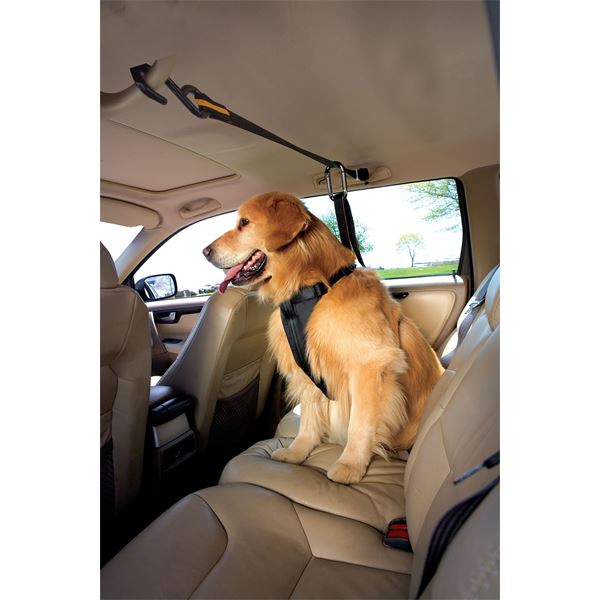 Câble d'attache chien pour voiture Zip Line KURGO