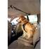 Câble d'attache chien pour voiture Zip Line KURGO