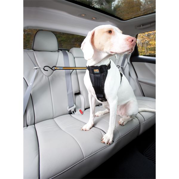Câble d'attache chien pour voiture Zip Line KURGO