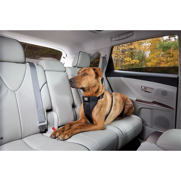 Harnais de sécurité pour chien voiture et marche Tru-Fit Smart KURGO taille XS