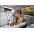 Harnais de sécurité pour chien voiture et marche Tru-Fit Smart KURGO taille XS