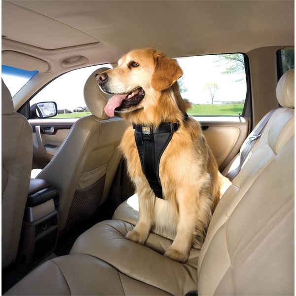 Harnais de sécurité pour chien voiture et marche Tru-Fit Smart KURGO taille S