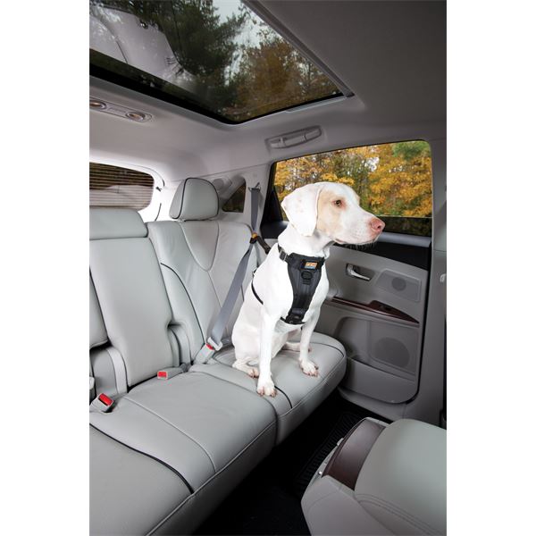 Harnais de sécurité pour chien voiture et marche Tru-Fit Smart KURGO taille S